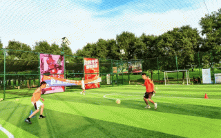 西安足球场免费开放吗，西安足球场免费开放吗现在
